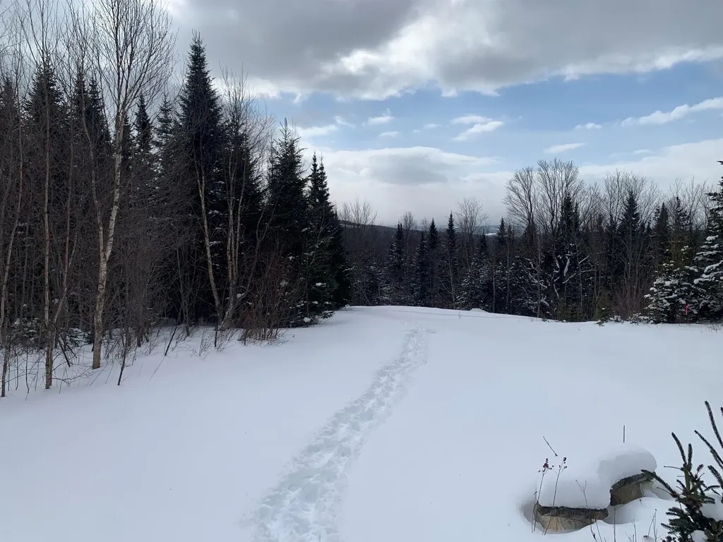 86 & 78 Quimby Road Stewartstown NH 03597