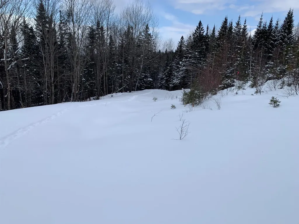 86 & 78 Quimby Road Stewartstown NH 03597