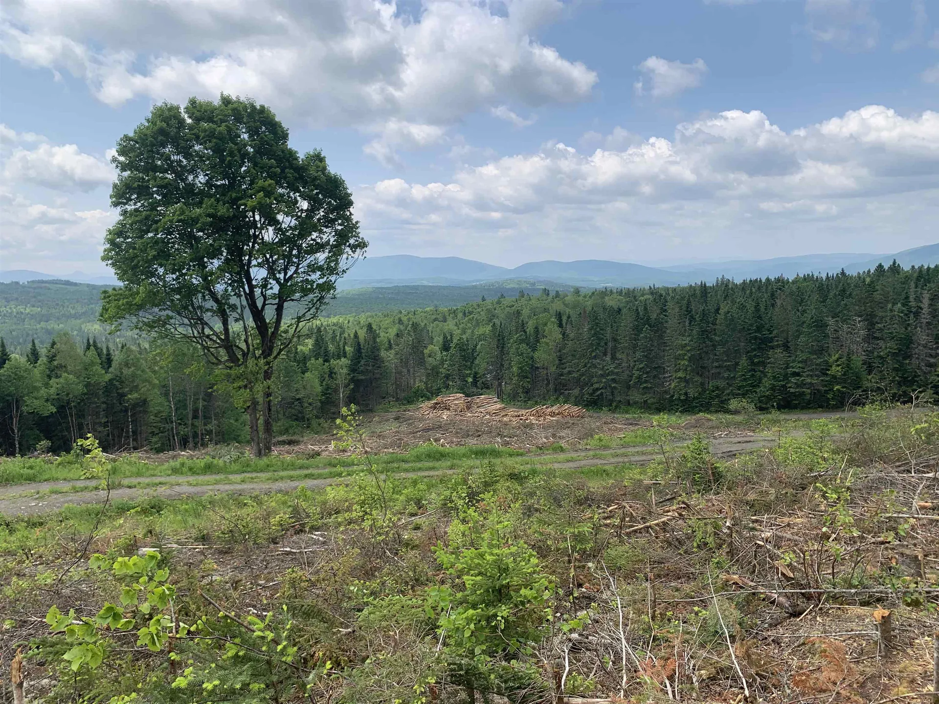 86 & 78 Quimby Road Stewartstown NH 03597