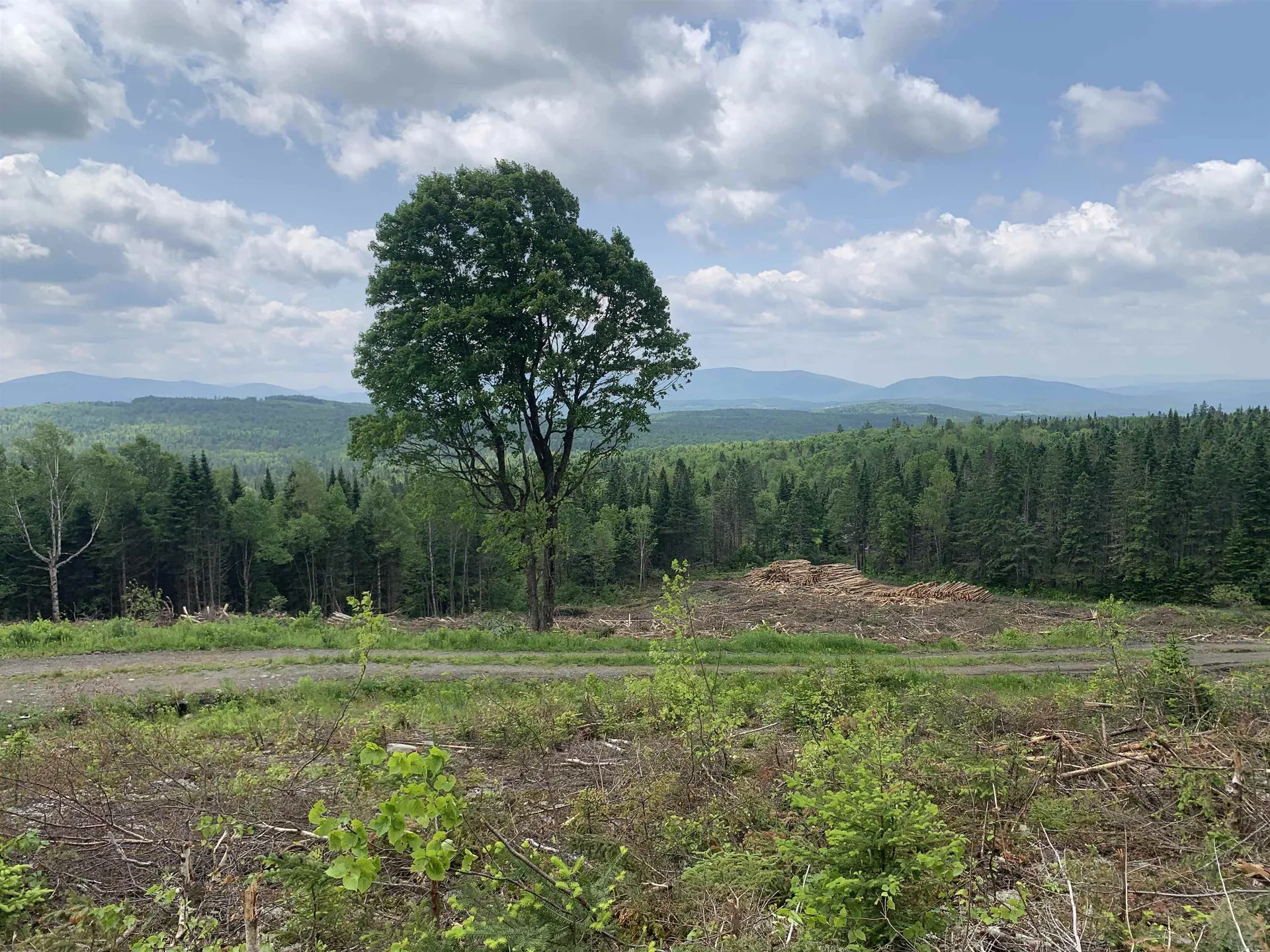 86 & 78 Quimby Road Stewartstown NH 03597