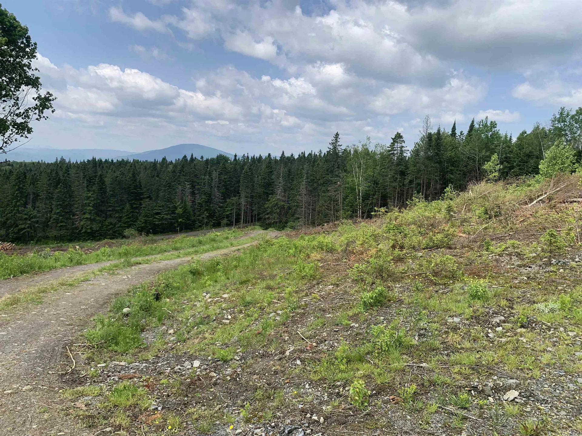 86 & 78 Quimby Road Stewartstown NH 03597