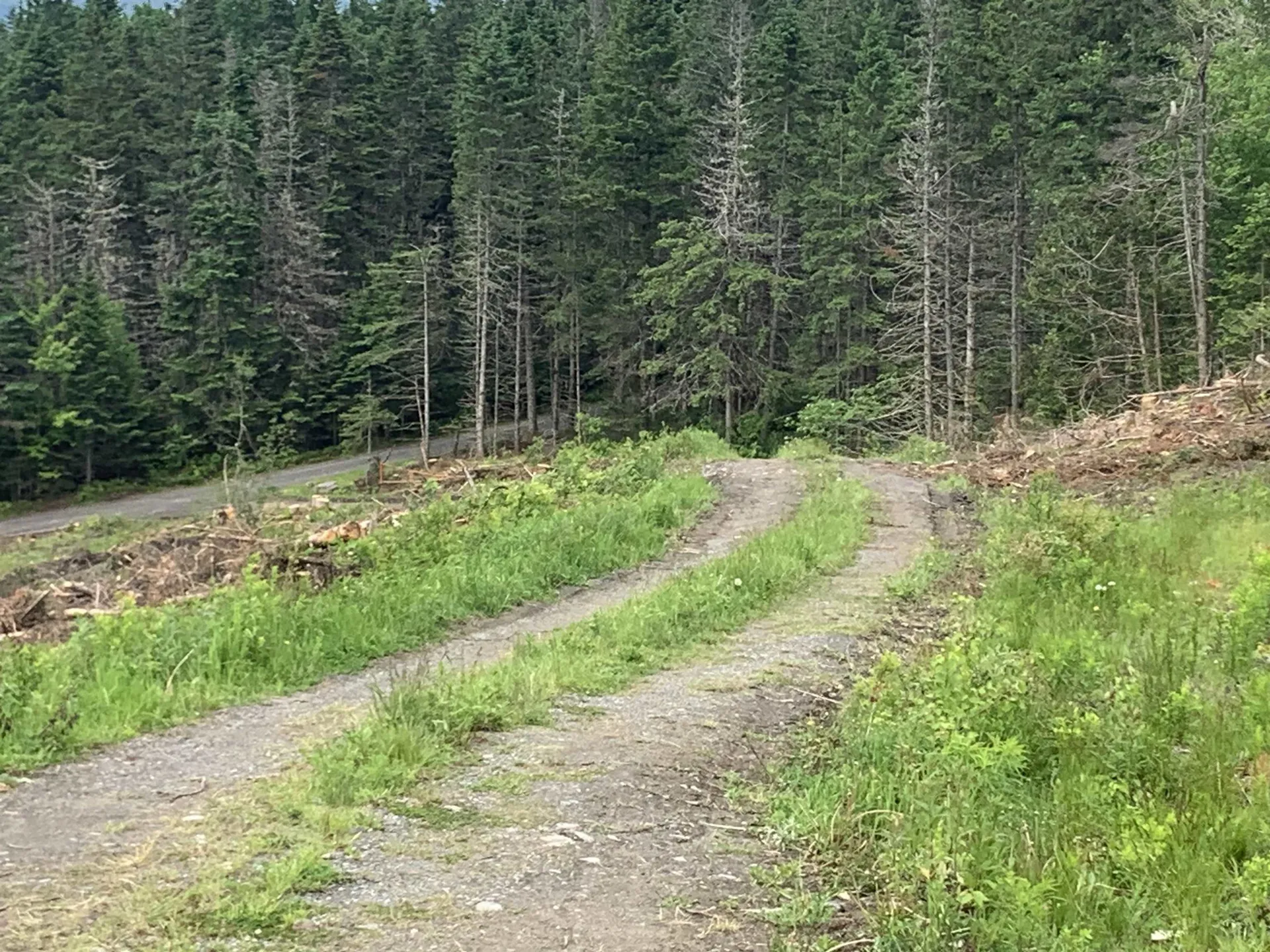 86 & 78 Quimby Road Stewartstown NH 03597