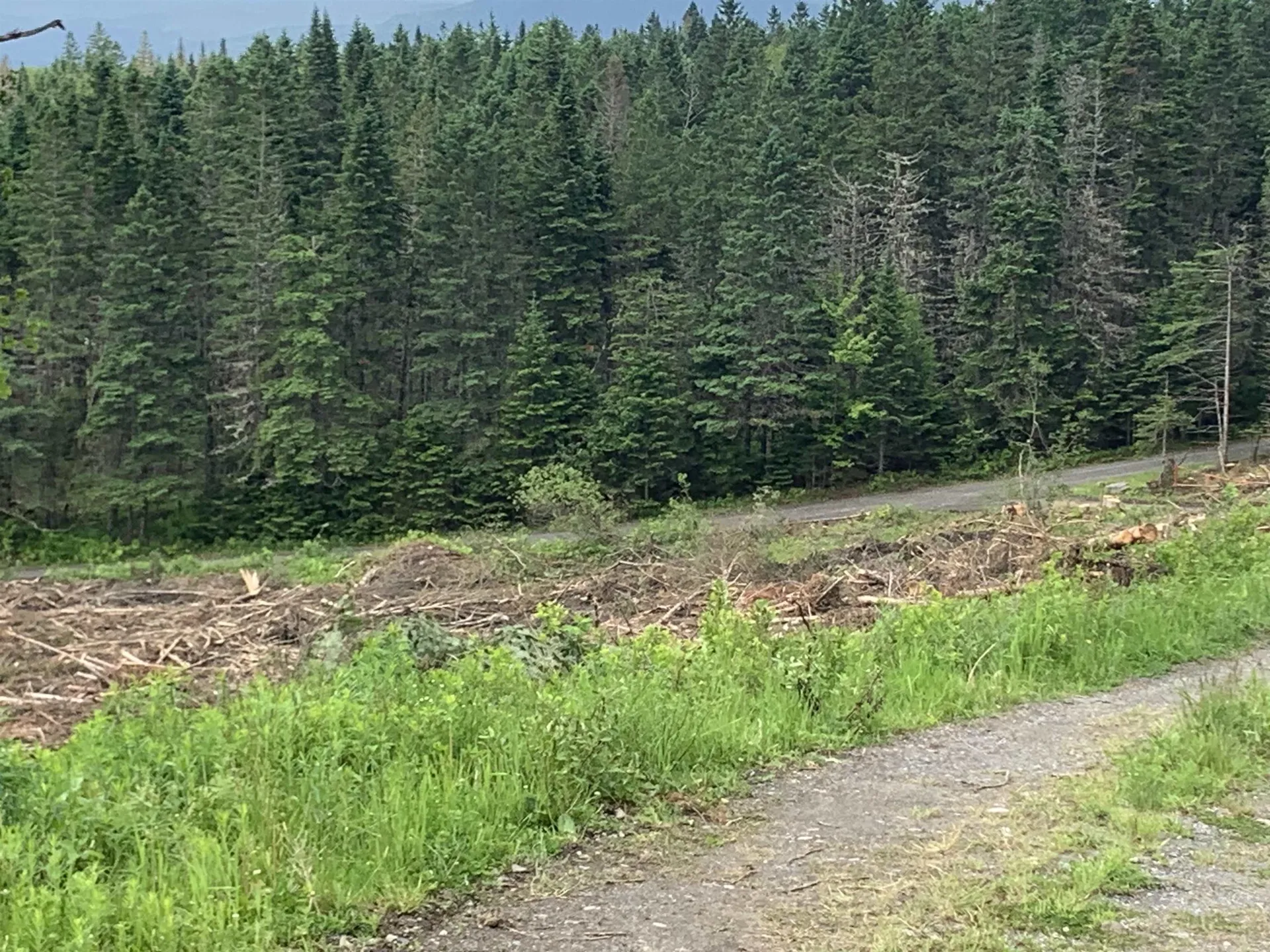 86 & 78 Quimby Road Stewartstown NH 03597