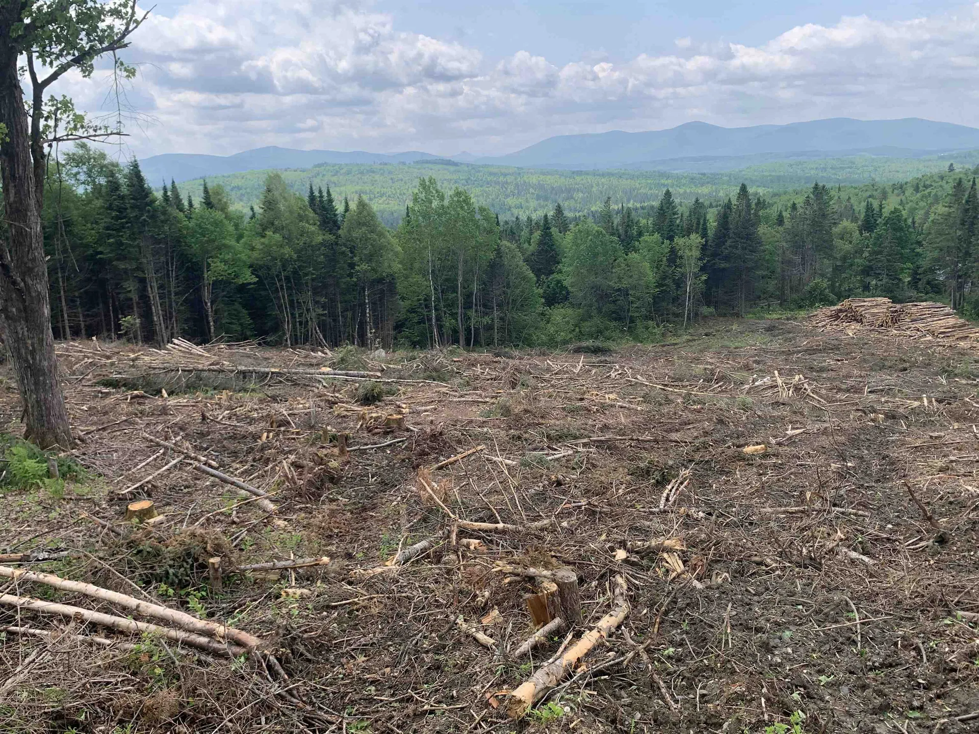 86 & 78 Quimby Road Stewartstown NH 03597