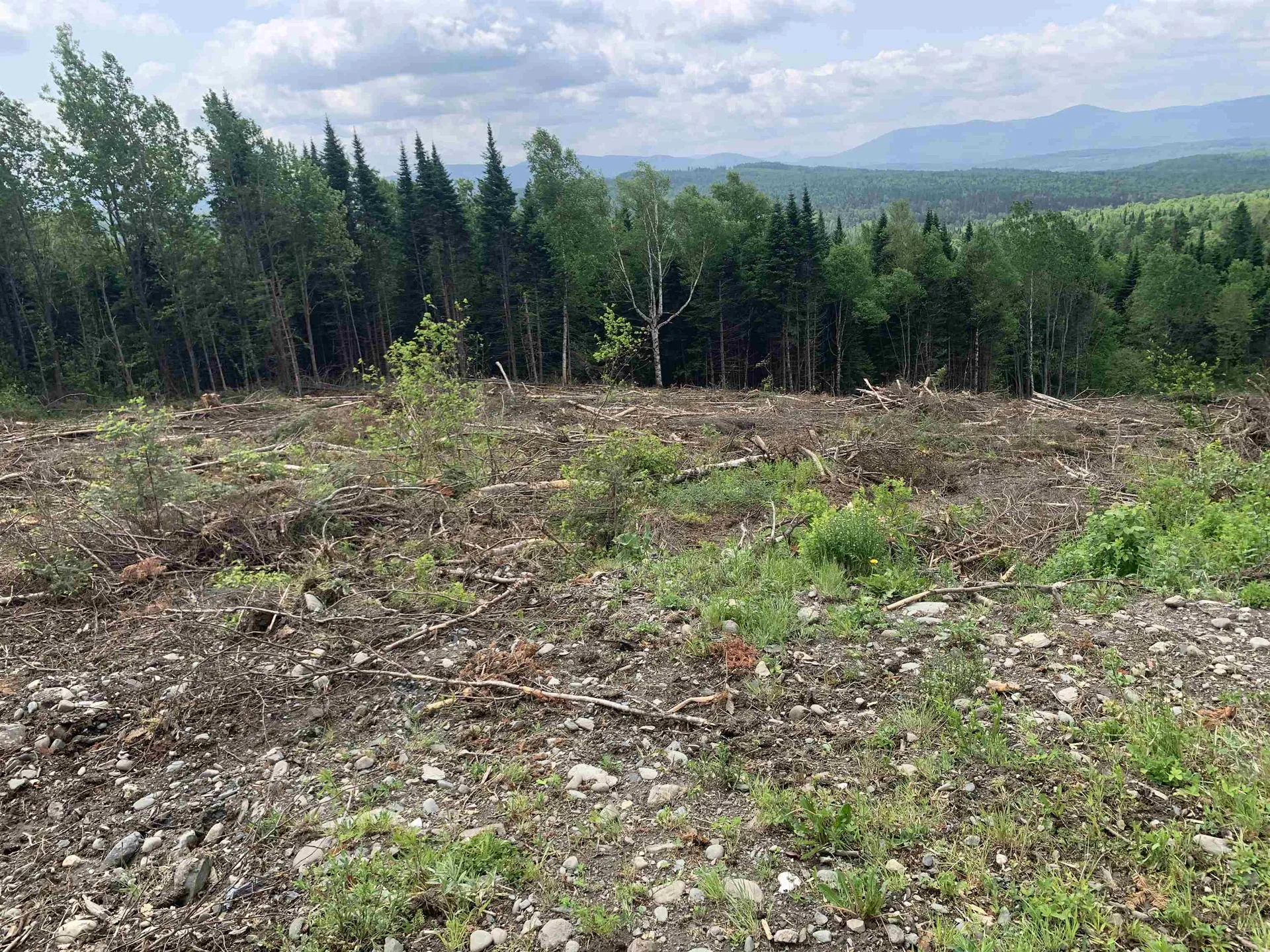 86 & 78 Quimby Road Stewartstown NH 03597