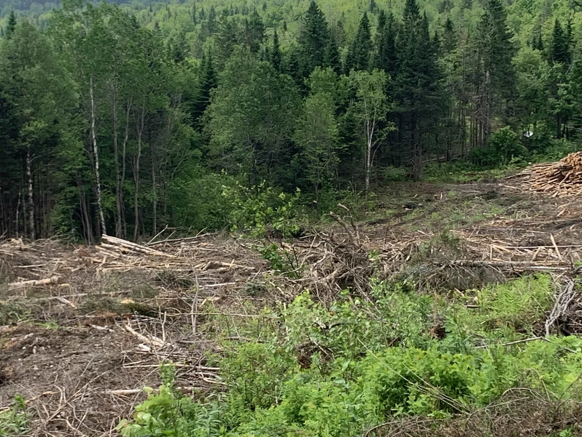 86 & 78 Quimby Road Stewartstown NH 03597