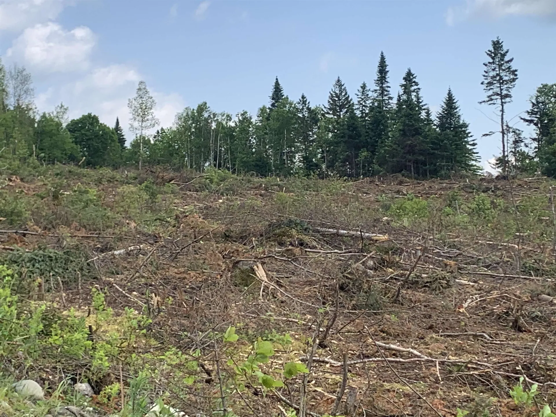 86 & 78 Quimby Road Stewartstown NH 03597