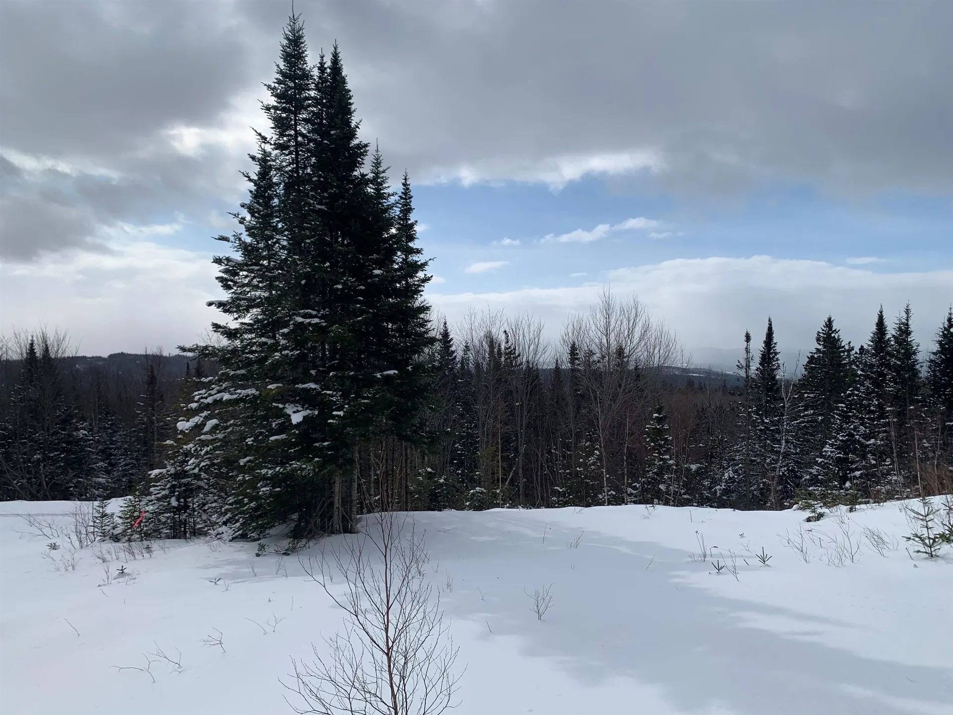 86 & 78 Quimby Road Stewartstown NH 03597