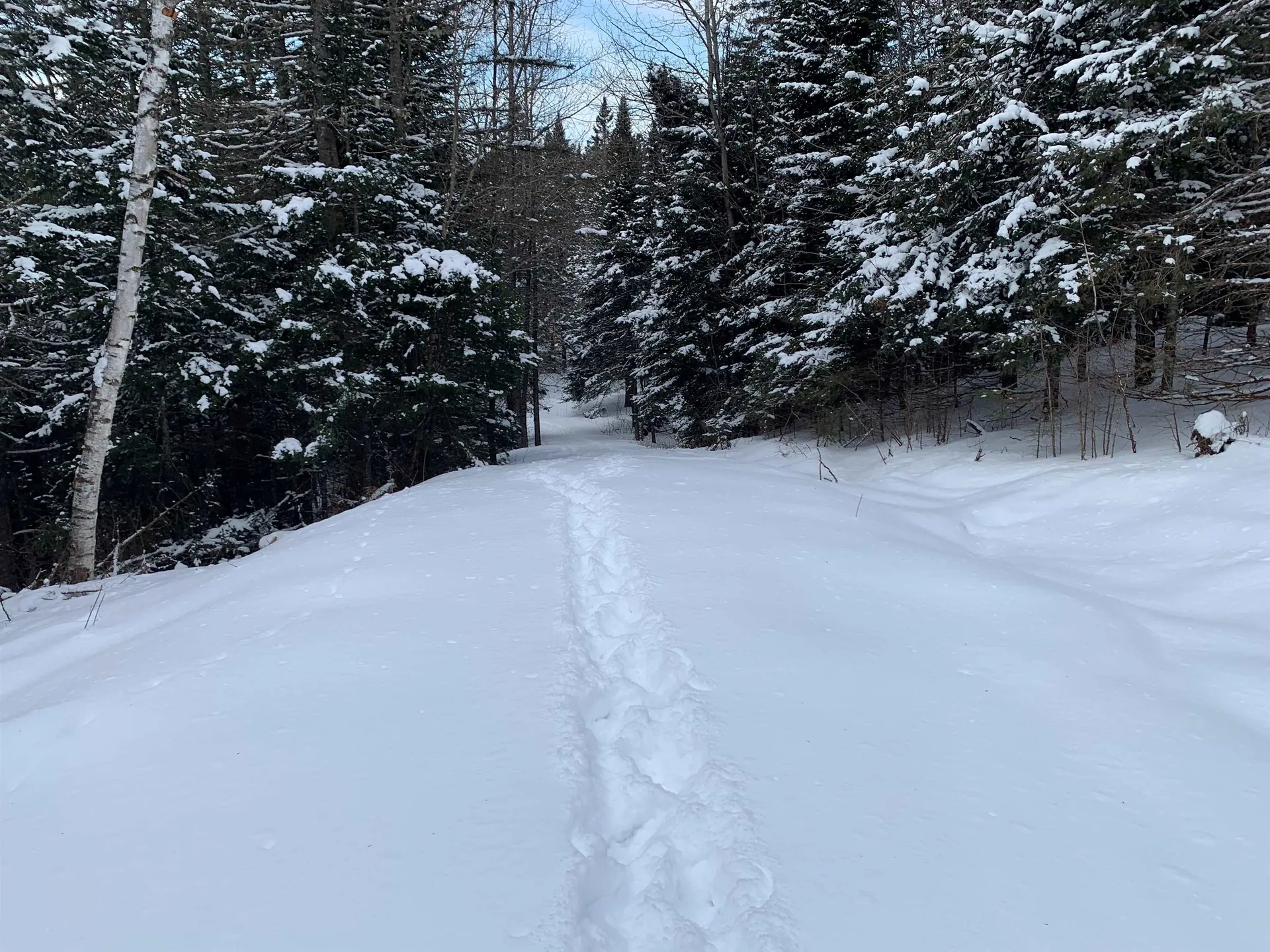 86 & 78 Quimby Road Stewartstown NH 03597