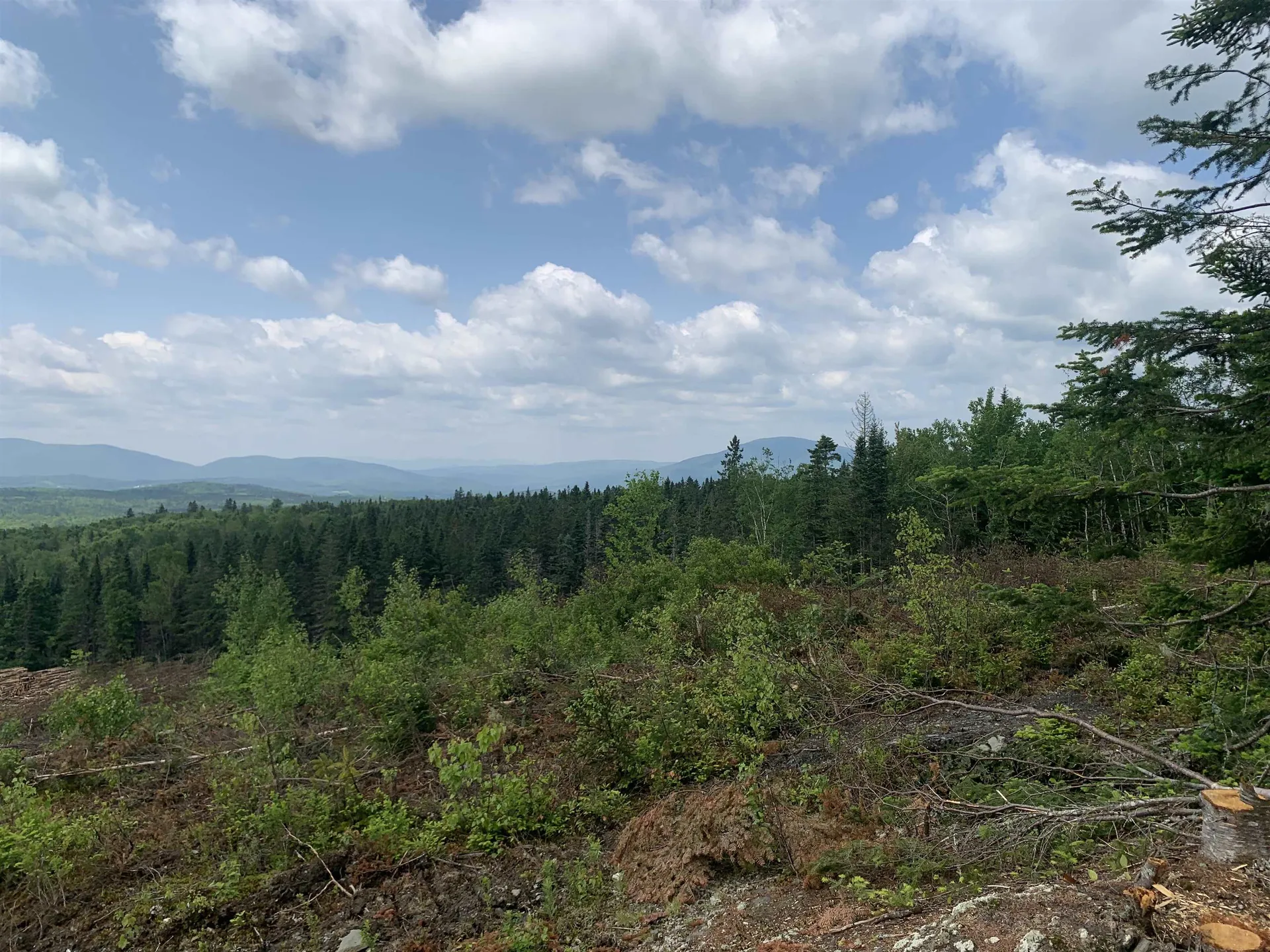 86 & 78 Quimby Road Stewartstown NH 03597