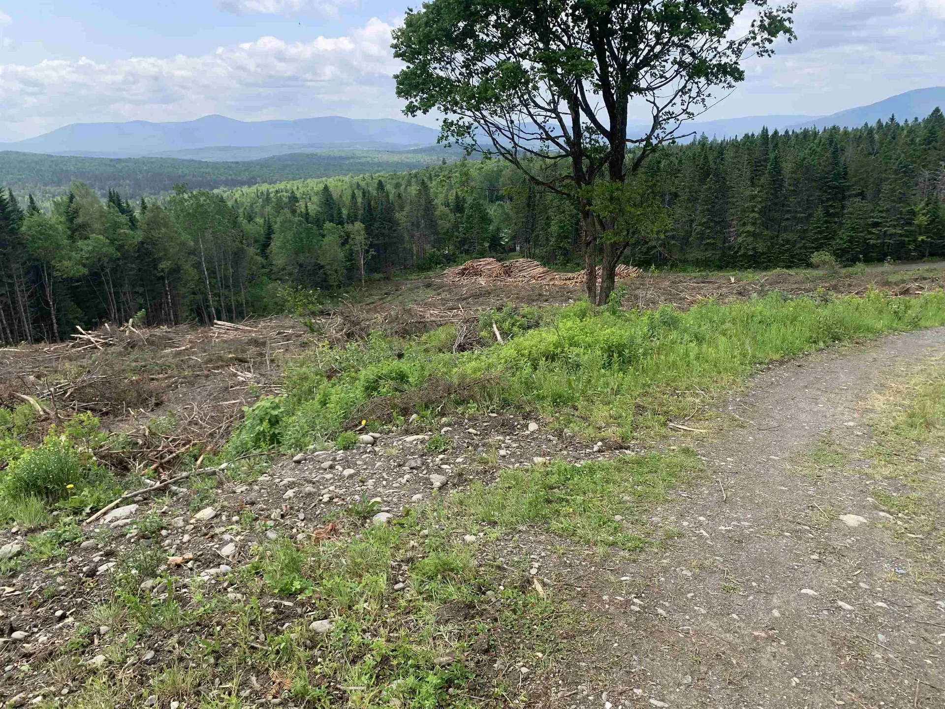 86 & 78 Quimby Road Stewartstown NH 03597