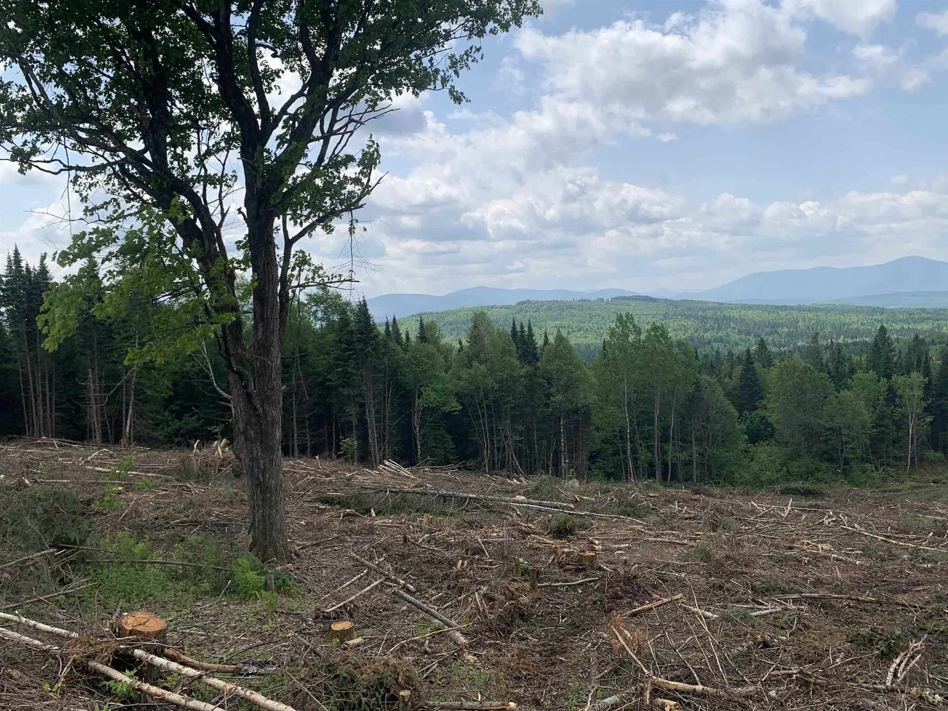 86 & 78 Quimby Road Stewartstown NH 03597