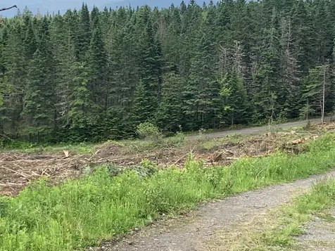 86 & 78 Quimby Road Stewartstown NH 03597