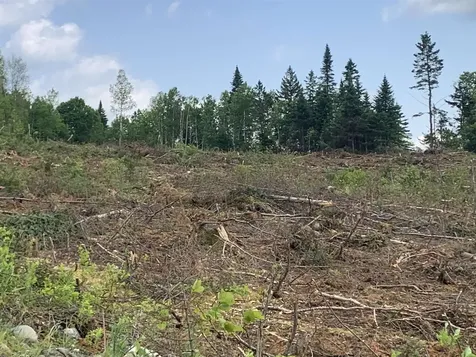 86 & 78 Quimby Road Stewartstown NH 03597