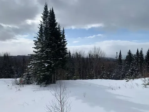 86 & 78 Quimby Road Stewartstown NH 03597