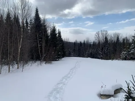 86 & 78 Quimby Road Stewartstown NH 03597