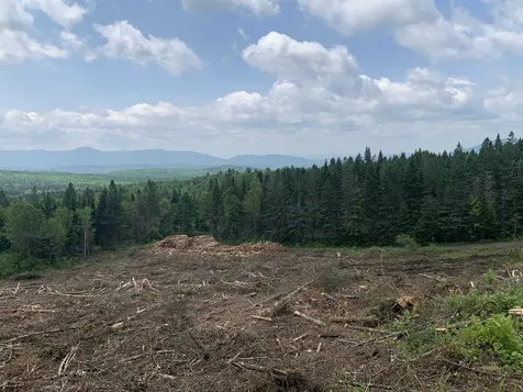 86 & 78 Quimby Road Stewartstown NH 03597