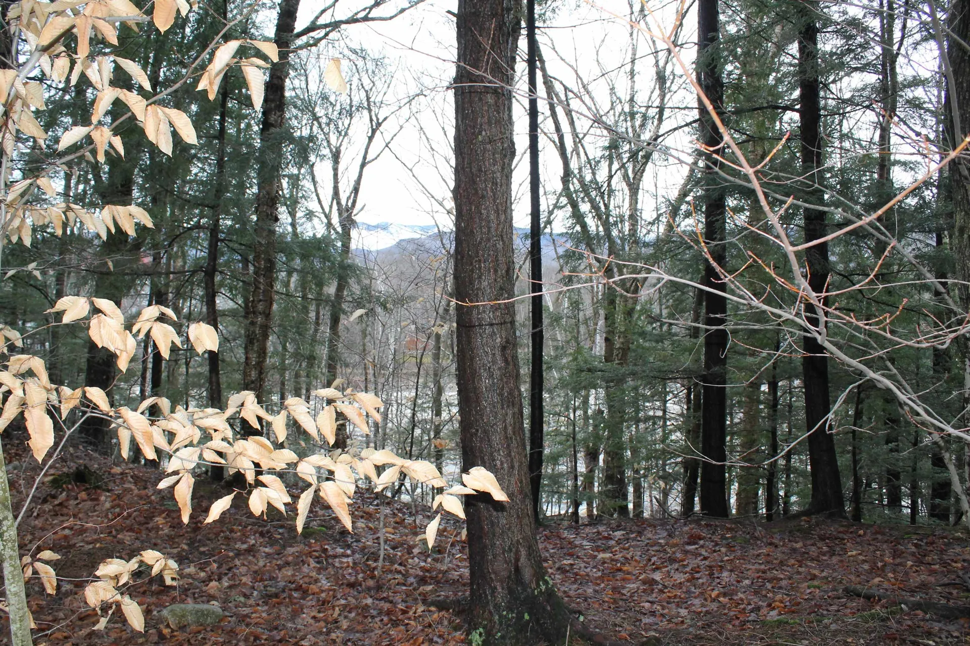 9 Riverside Terrace Drive Lincoln NH 03251
