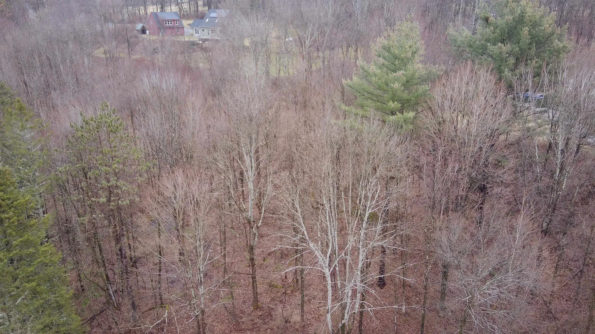 00 Guild Hill Road Waterbury VT 05677