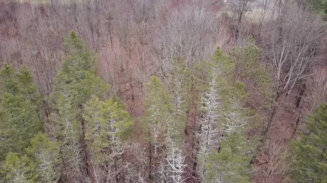 00 Guild Hill Road Waterbury VT 05677