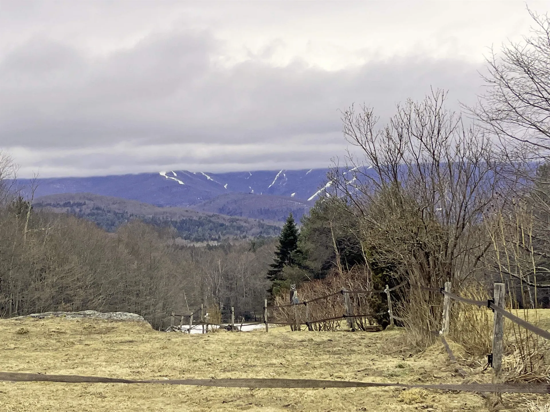 358 Cider Hill Road Warren VT 05674-0000