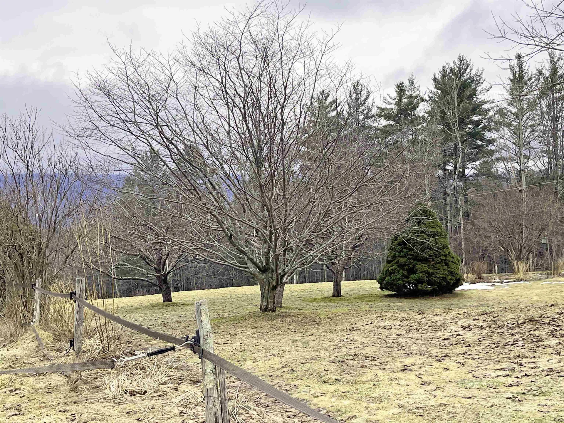 358 Cider Hill Road Warren VT 05674-0000