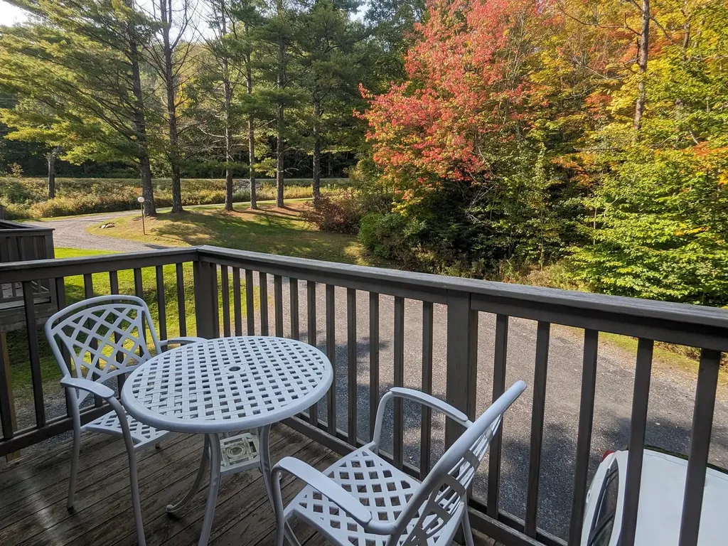 60 Drumleys North Extension Warren VT 05674