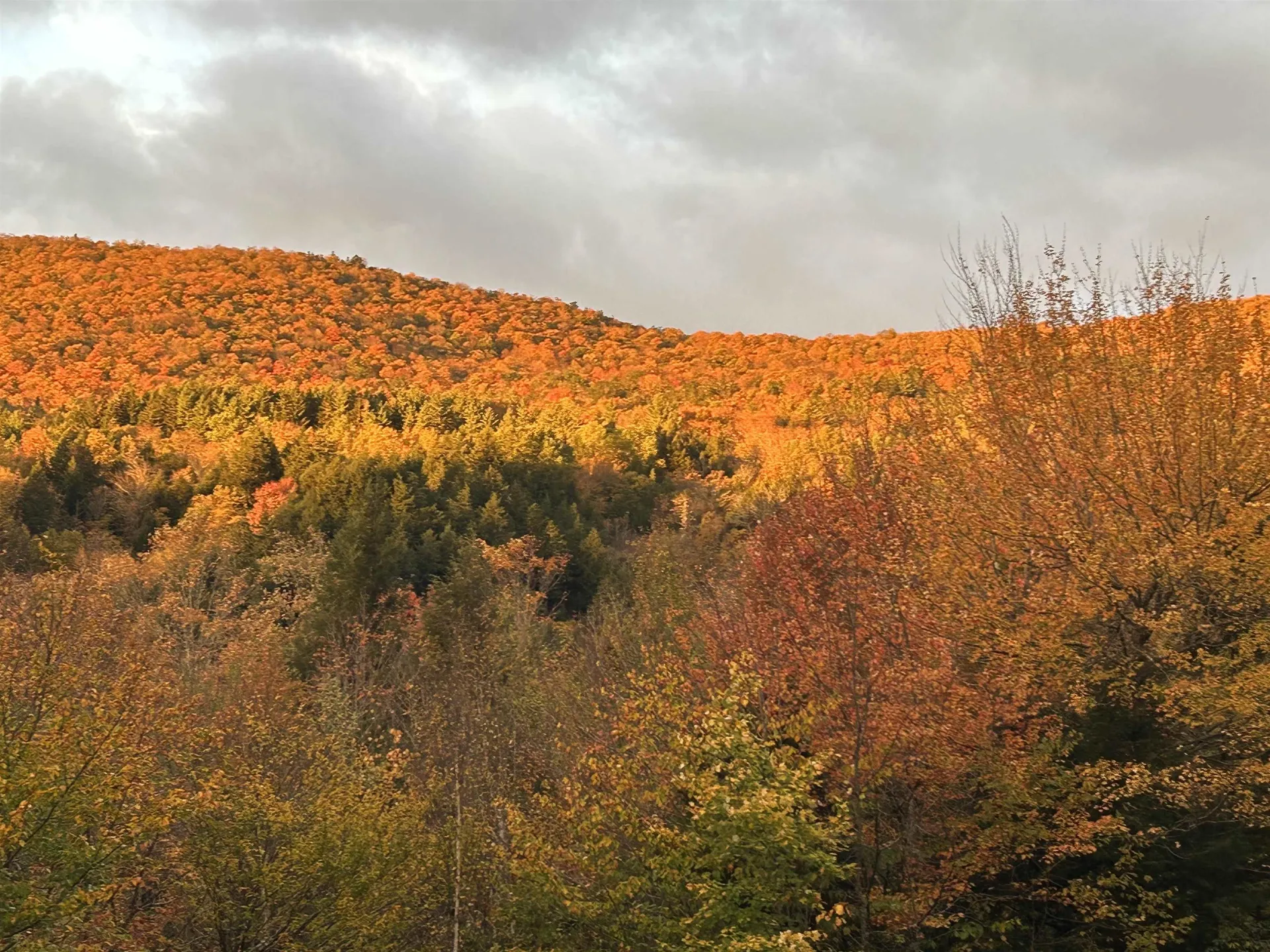 1109 Dowsville Road Duxbury VT 05660