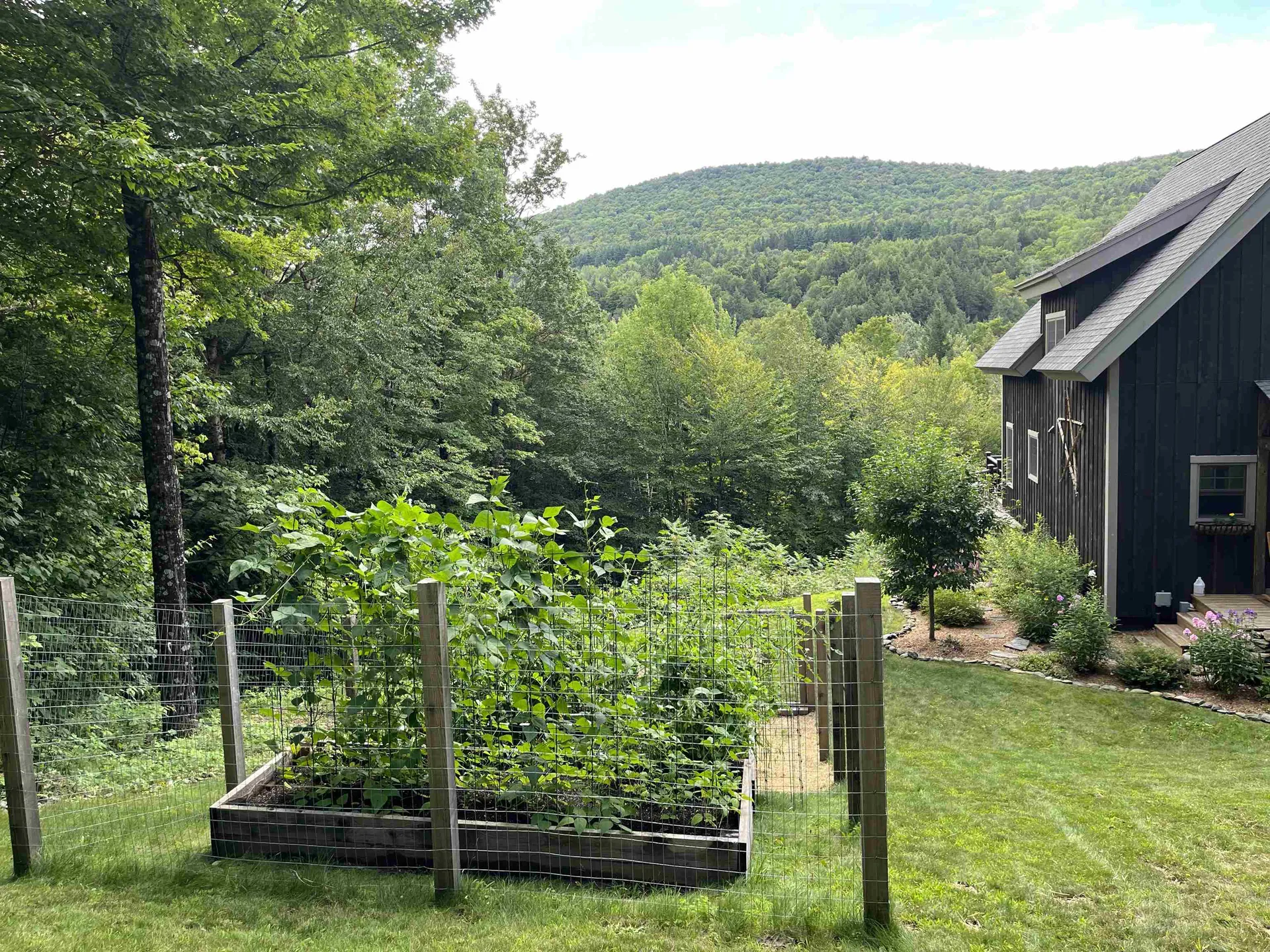1109 Dowsville Road Duxbury VT 05660