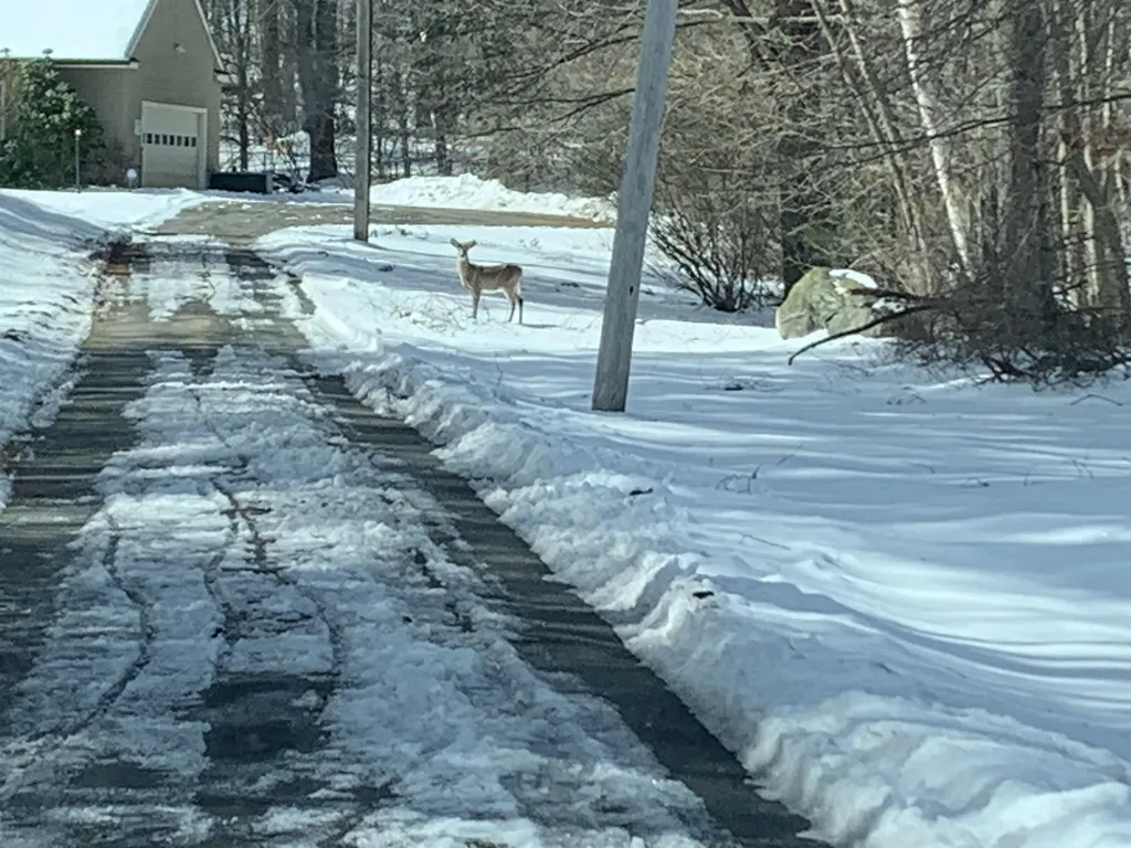 97 North Lowell Road Windham NH 03087