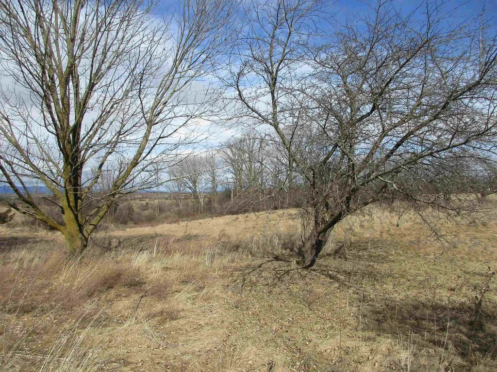 66 Rattlin Bridge Road Bridport VT 05734