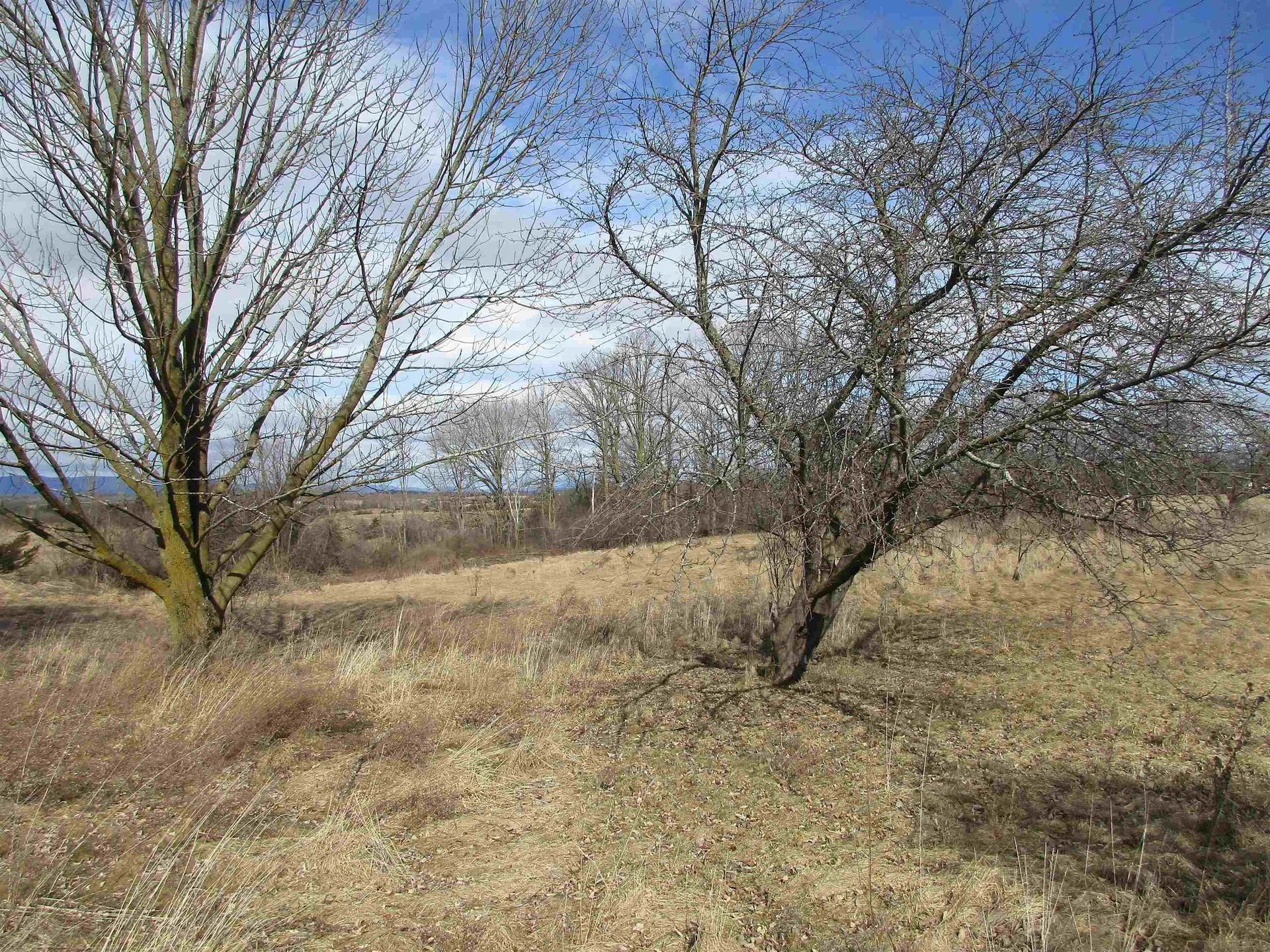 66 Rattlin Bridge Road Bridport VT 05734