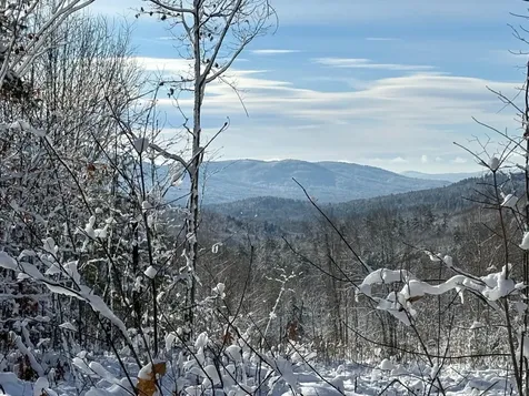 00 Cold Brook Road Freedom NH 03836