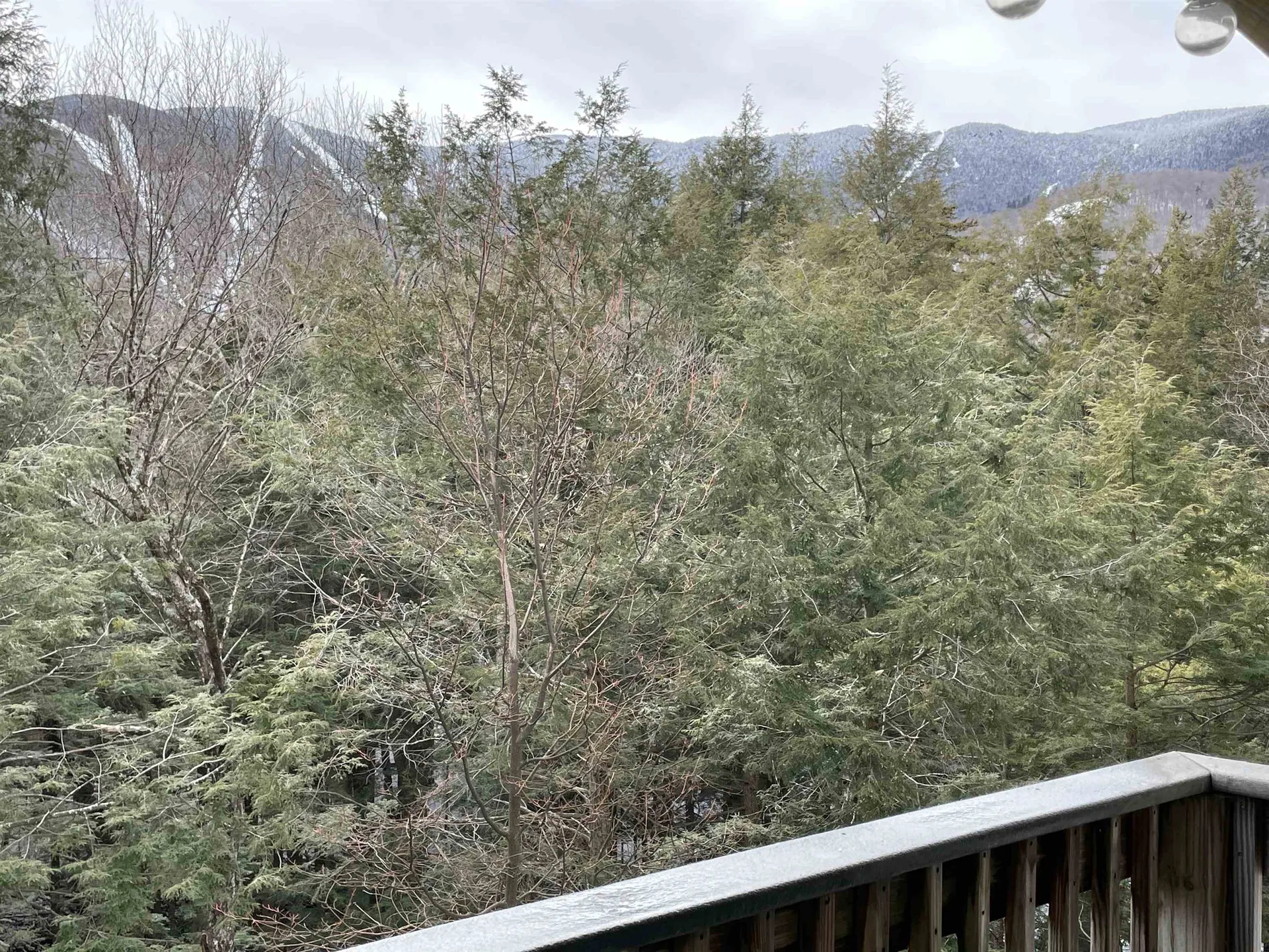 102 Upper Phase Drive Warren VT 05674