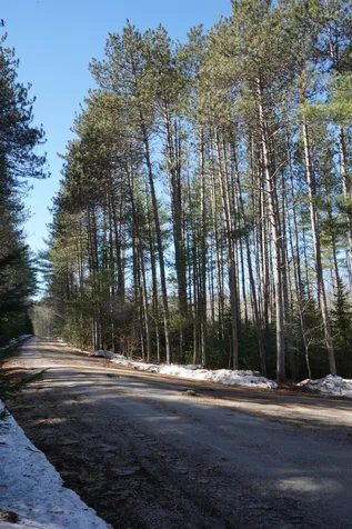 166 Plantation Lane Brownfield ME 04010