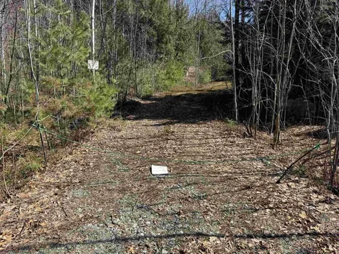 Lot 44 Bog Road Hillsborough NH 03244
