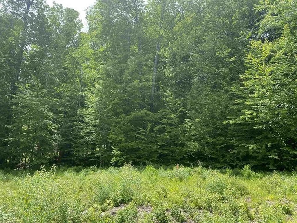 45 Foxglove Run Lane Duxbury, VT Real Estate MLS 4987563