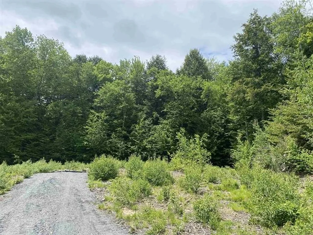 45 Foxglove Run Lane Duxbury VT 05676