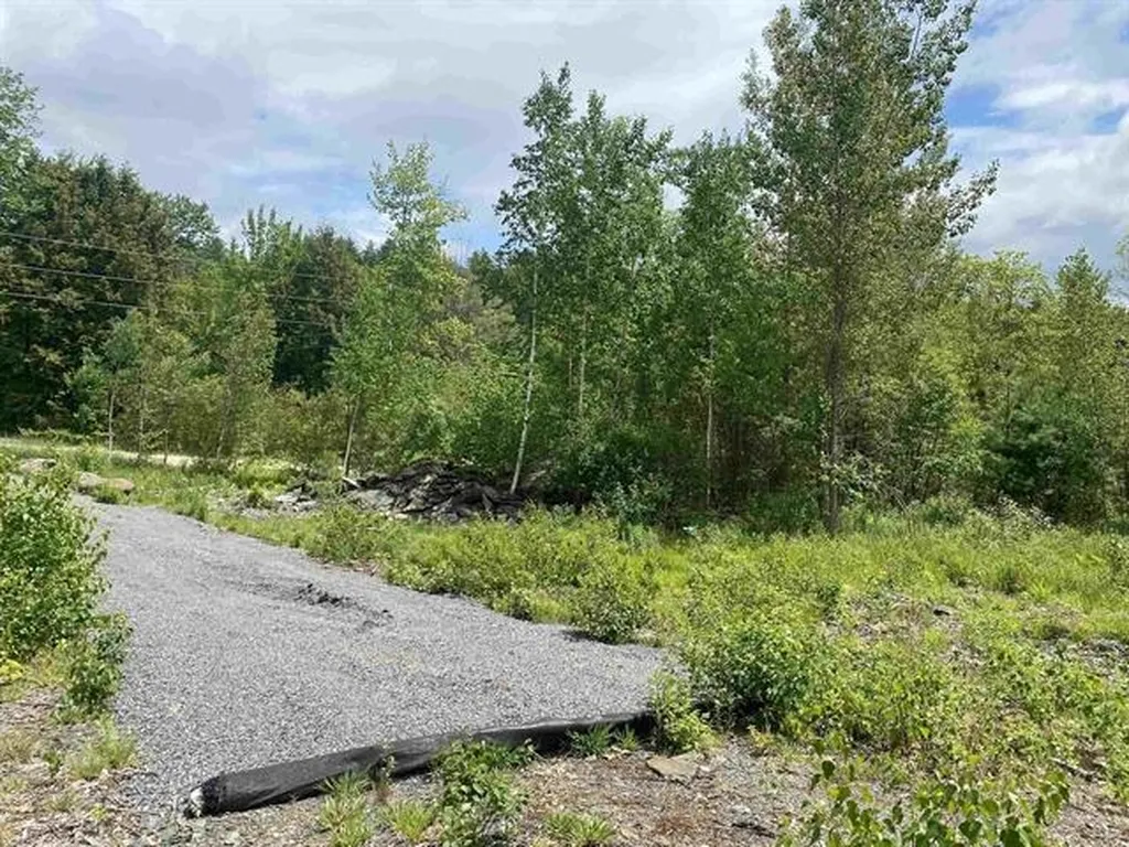 45 Foxglove Run Lane Duxbury VT 05676