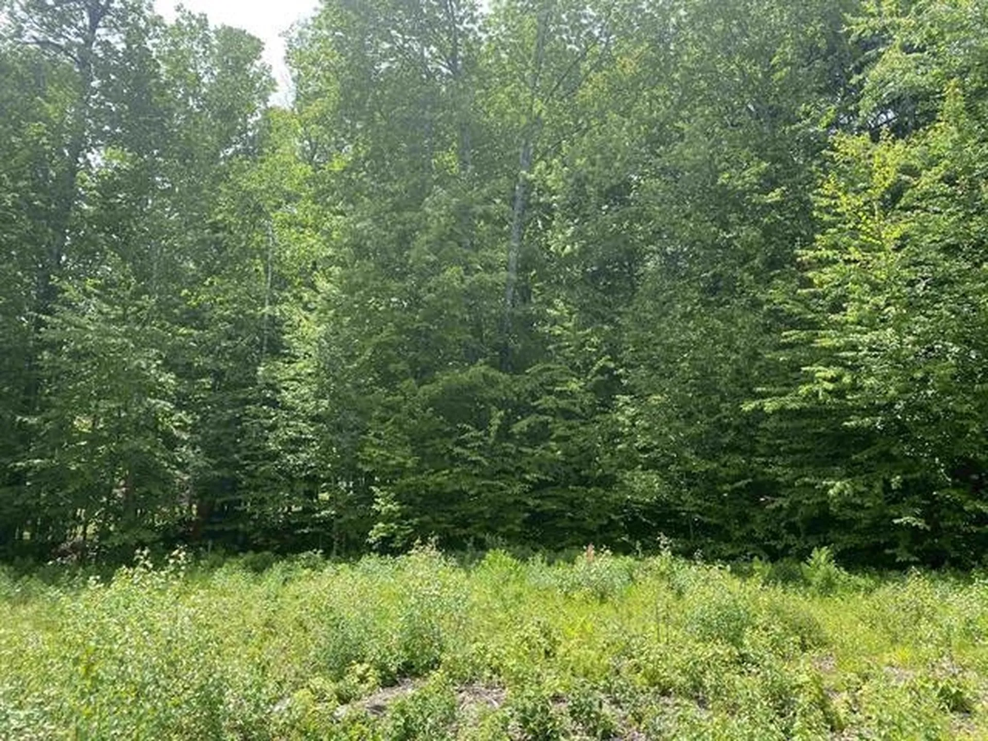 Duxbury VT, 45 Foxglove Run Lane