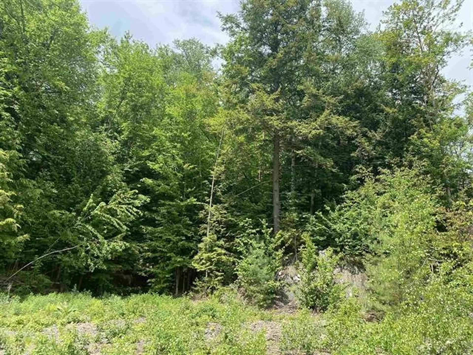 45 Foxglove Run Lane Duxbury VT 05676