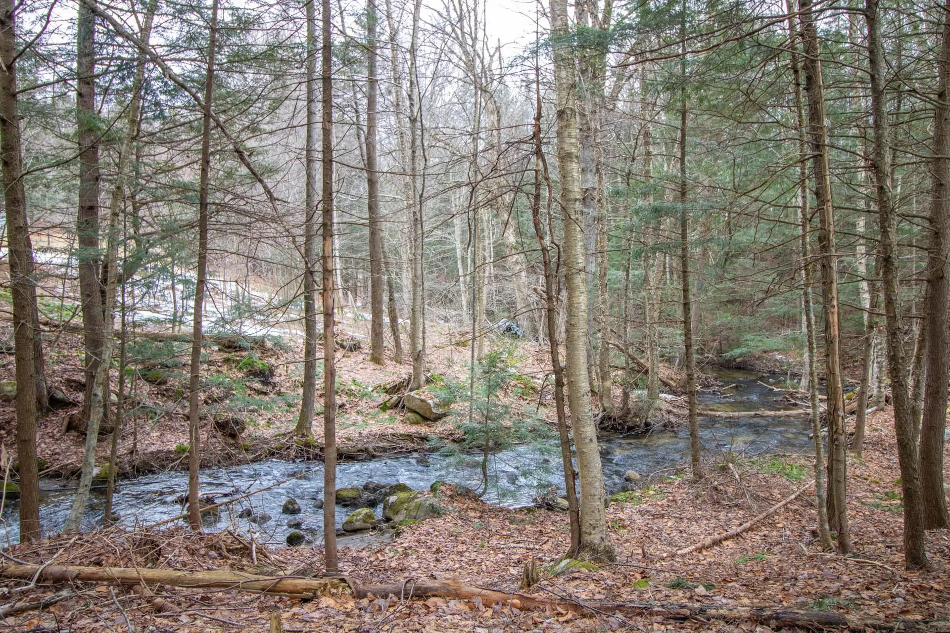 3710 Swamp Road Newbury VT 05051