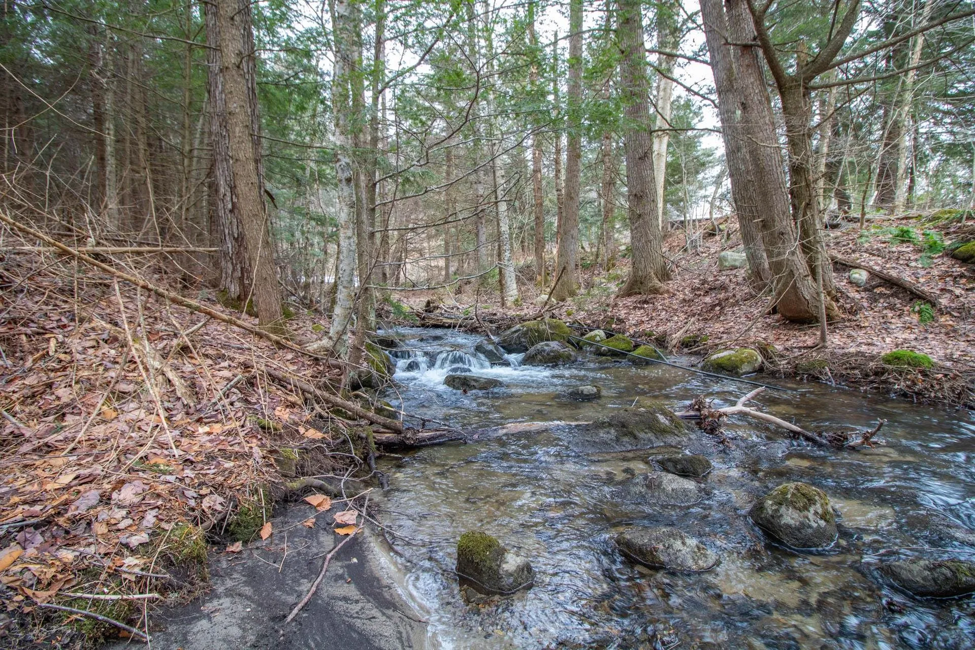 3710 Swamp Road Newbury VT 05051