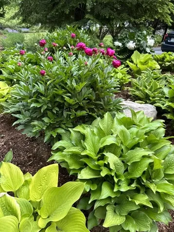 15 North Park Street Hanover NH 03755