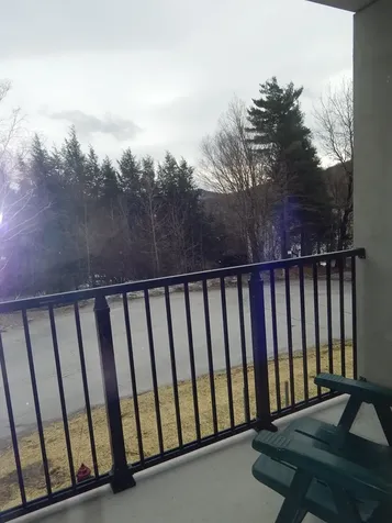 161 Mountainside Drive Warren VT 05674