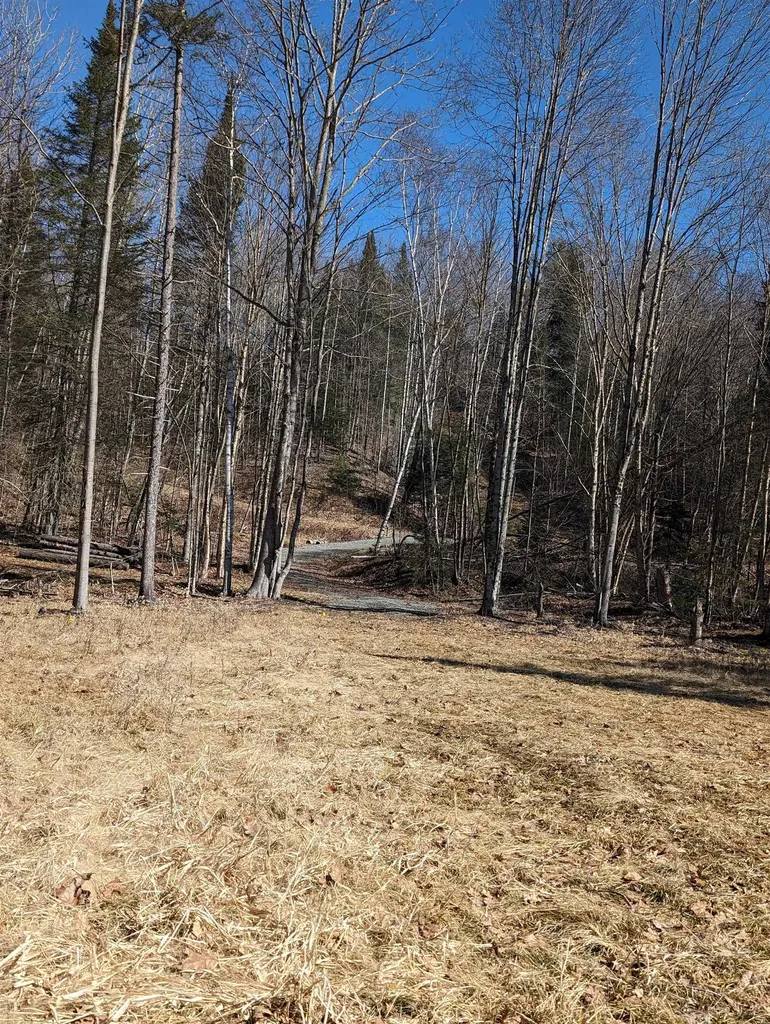 147 Buck Ridge Road Lisbon NH 03585