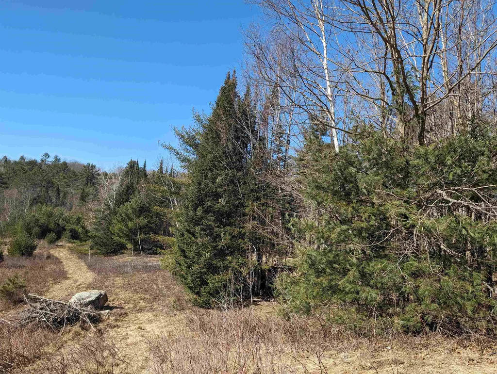 147 Buck Ridge Road Lisbon NH 03585
