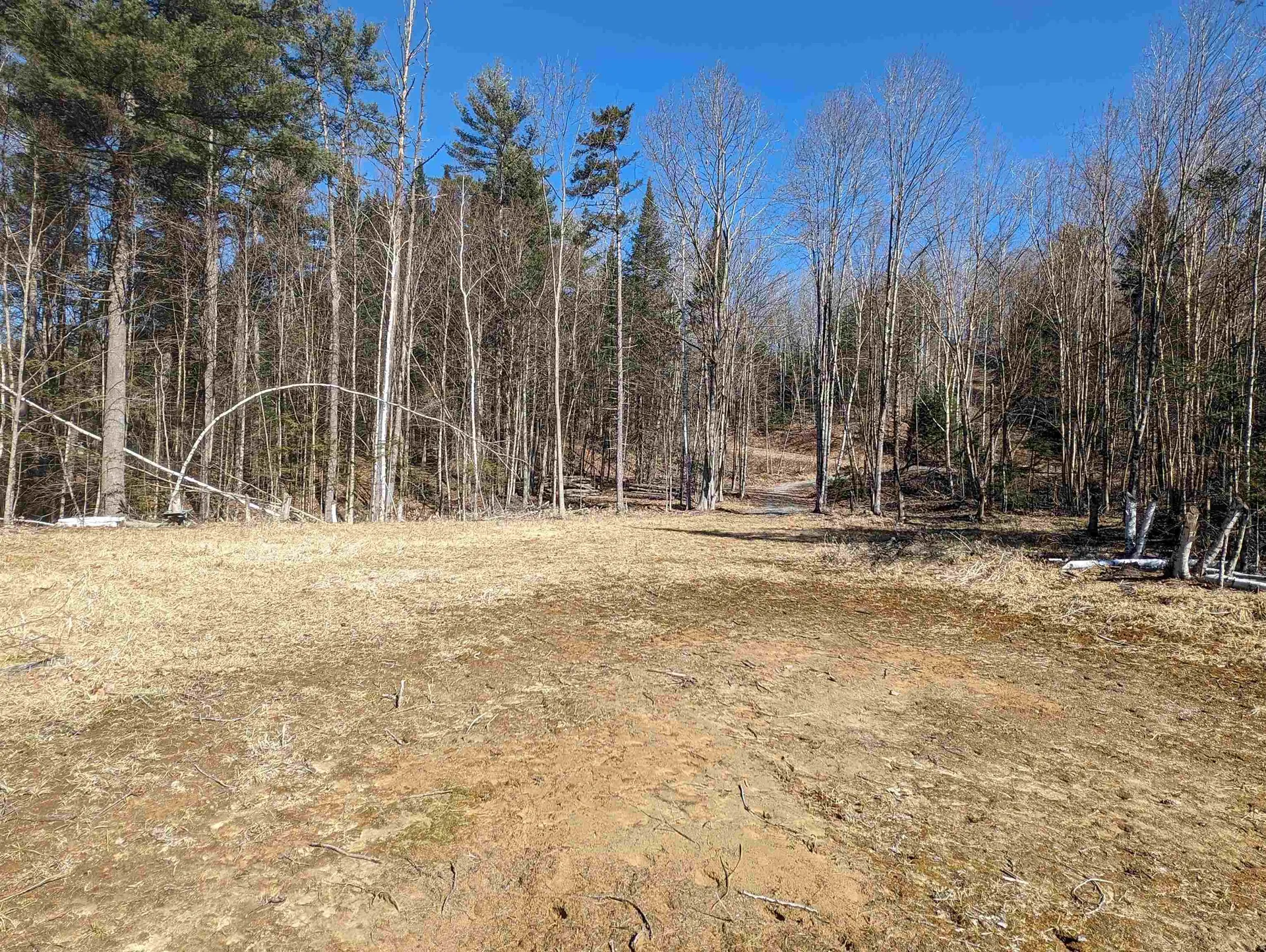 147 Buck Ridge Road Lisbon NH 03585