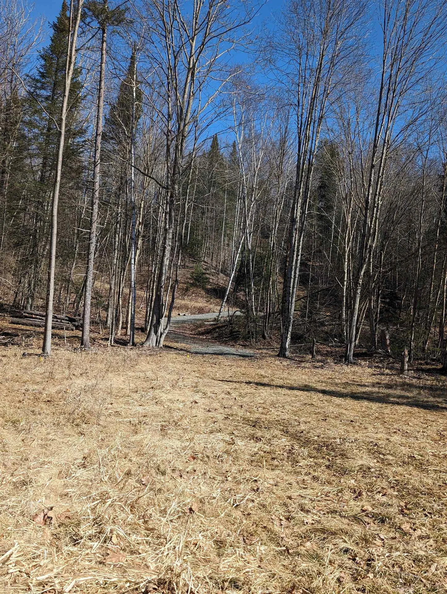147 Buck Ridge Road Lisbon NH 03585