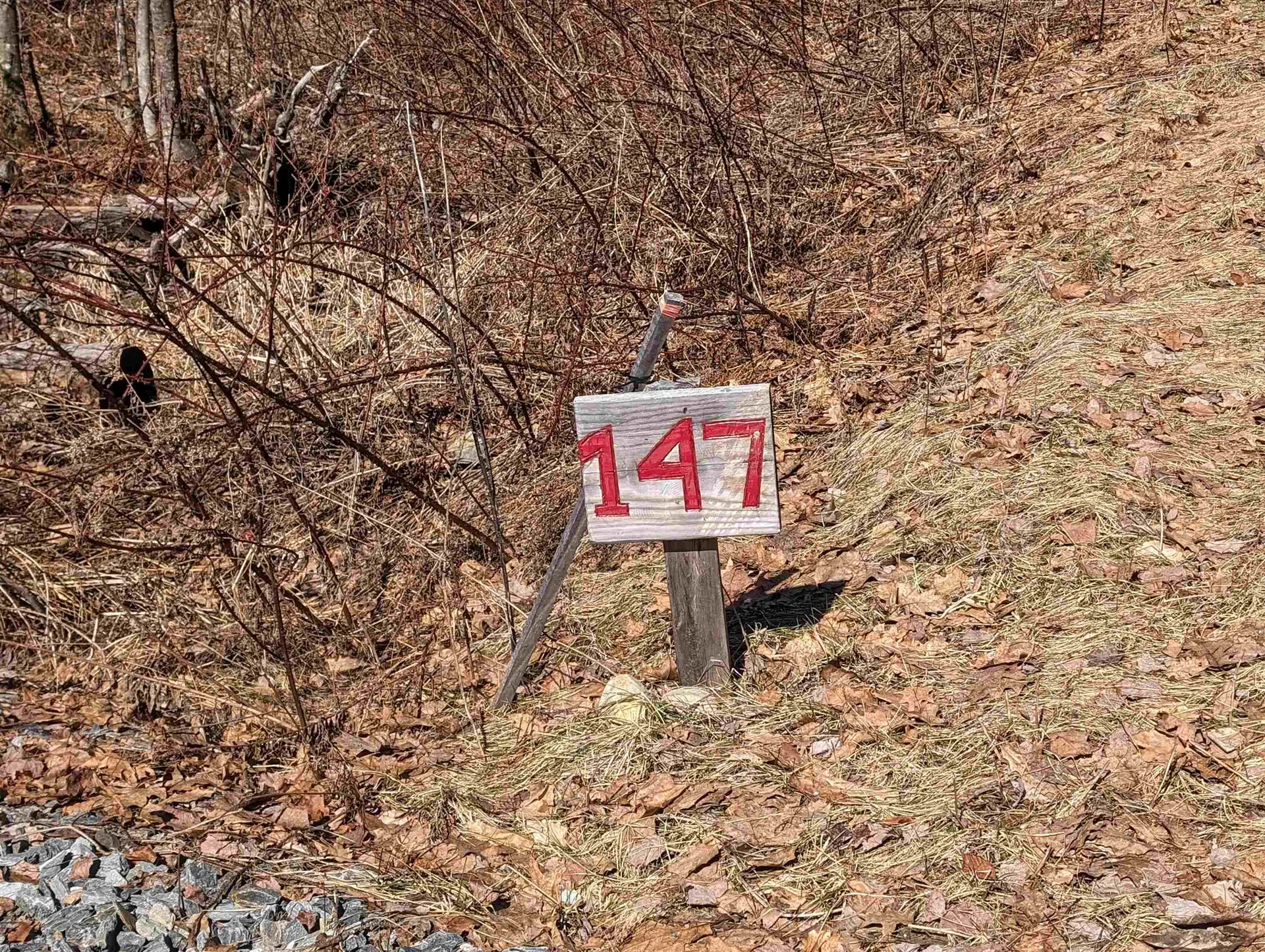 147 Buck Ridge Road Lisbon NH 03585